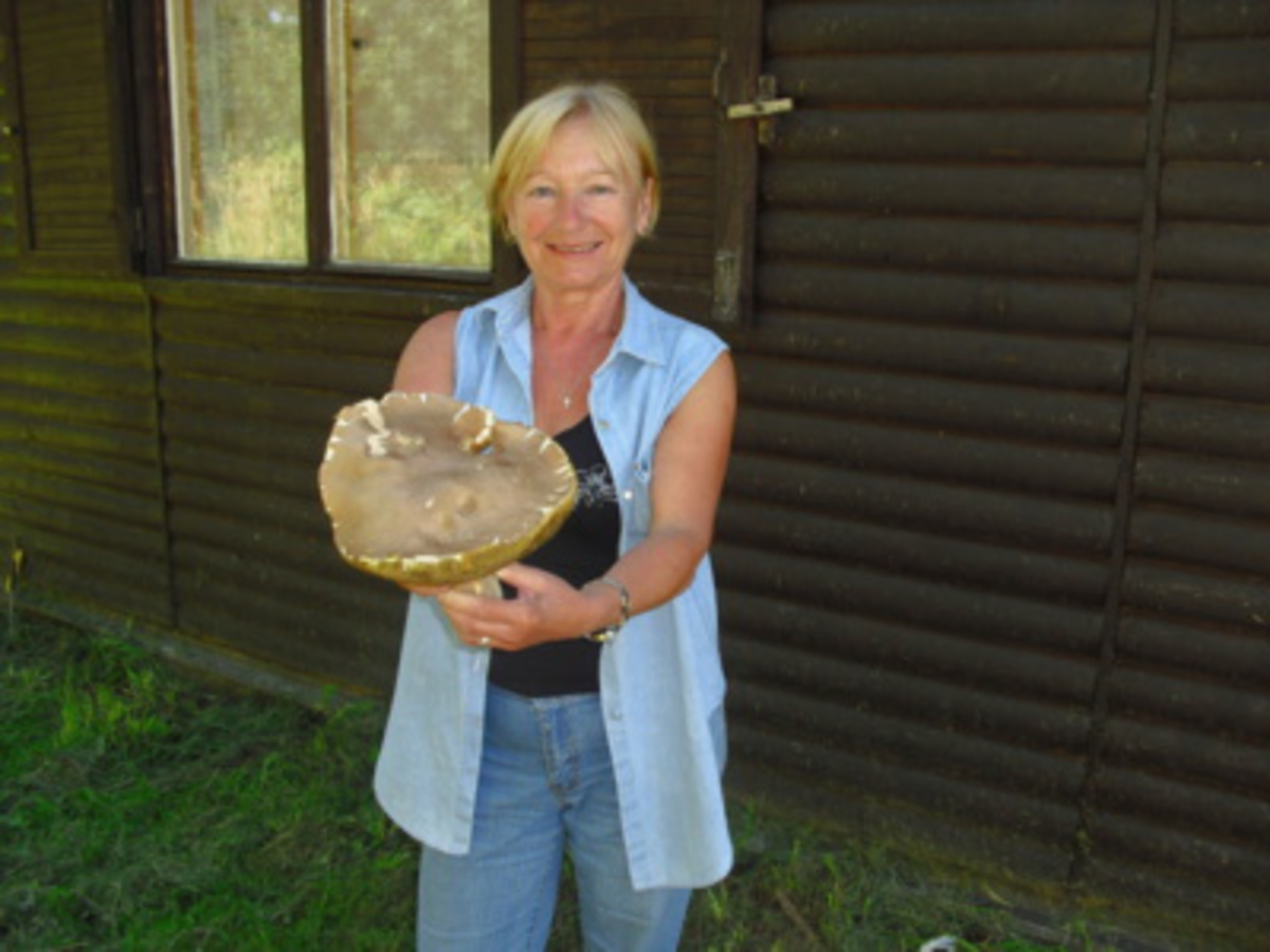 Můj seniorský život: U mě dobrý!