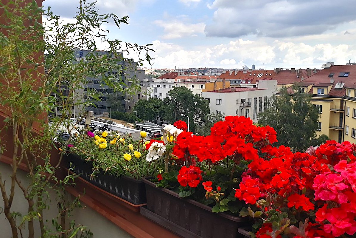 Letní rozkvetlá terasa