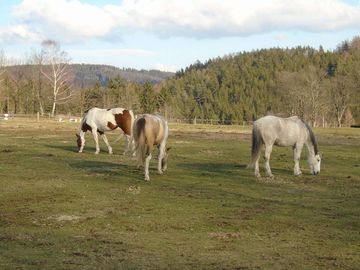 Třeba: "Russká trojka ve Vratislavicích"