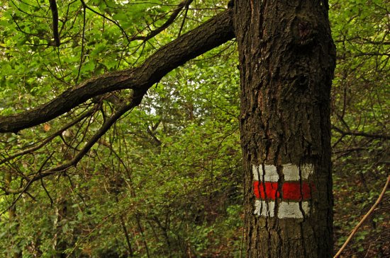 Dobrý navigátor Voráček