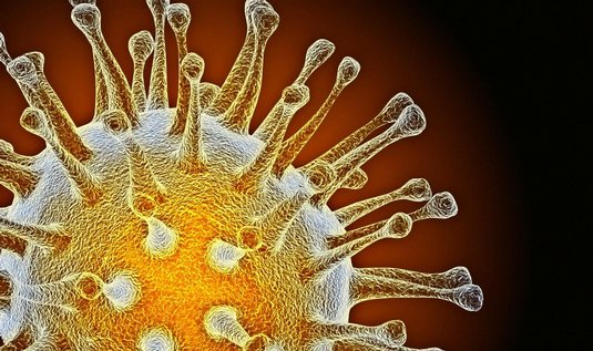 Nový kmen ptačí chřipky
je mimořádně nebezpečný