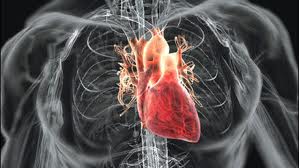 Nové malé srdeční
pumpy se osvědčily