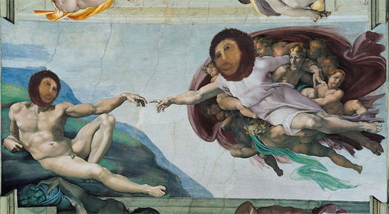 Sláva španělské penzistky
a&nbsp;"restaurátorky" stoupá