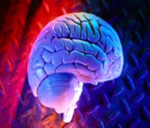 Alzheimerovy nemoci přibývá,
péče leží hlavně na rodinách