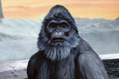 Je Yetti ve skutečnosti
kříženec medvěda?