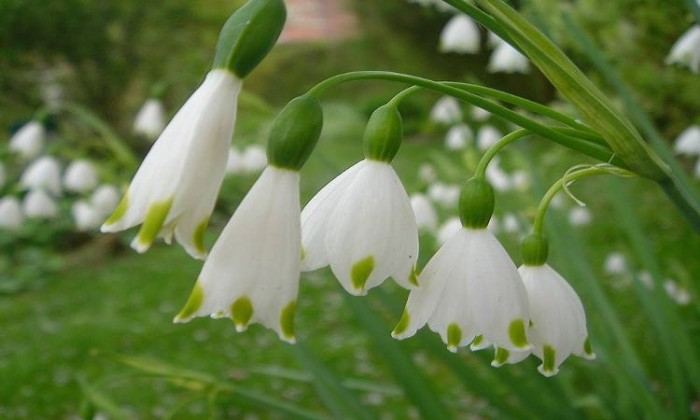 Za 50 let může být
teplá zima běžná