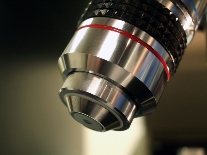 Vědci chtějí léčit střevní
nemoci pomocí parazitů