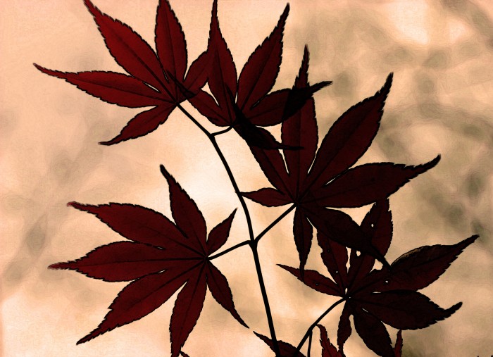 Babí léto je tady,
teploty budou příjemné