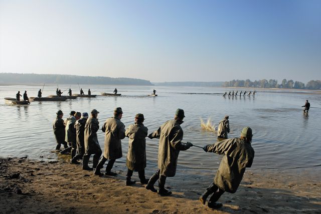 Výlov Rožmberka
láká na rybí baštu