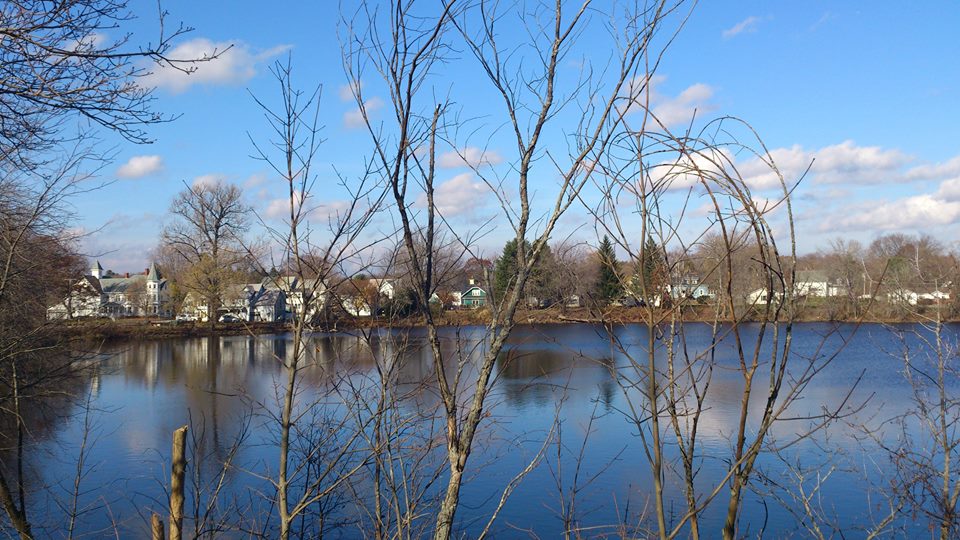 Davidovy americké
zkušenosti (2)