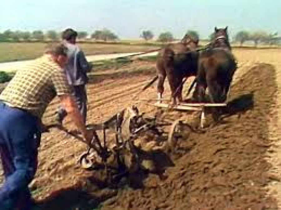 Kouzlo časů minulých:
Od ruchadla ke kombajnu