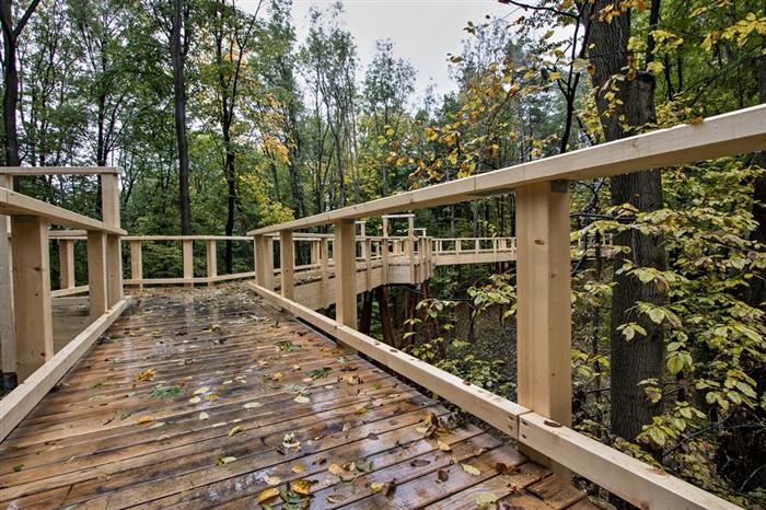 Ve Frenštátě můžete sledovat
les přímo v korunách stromů