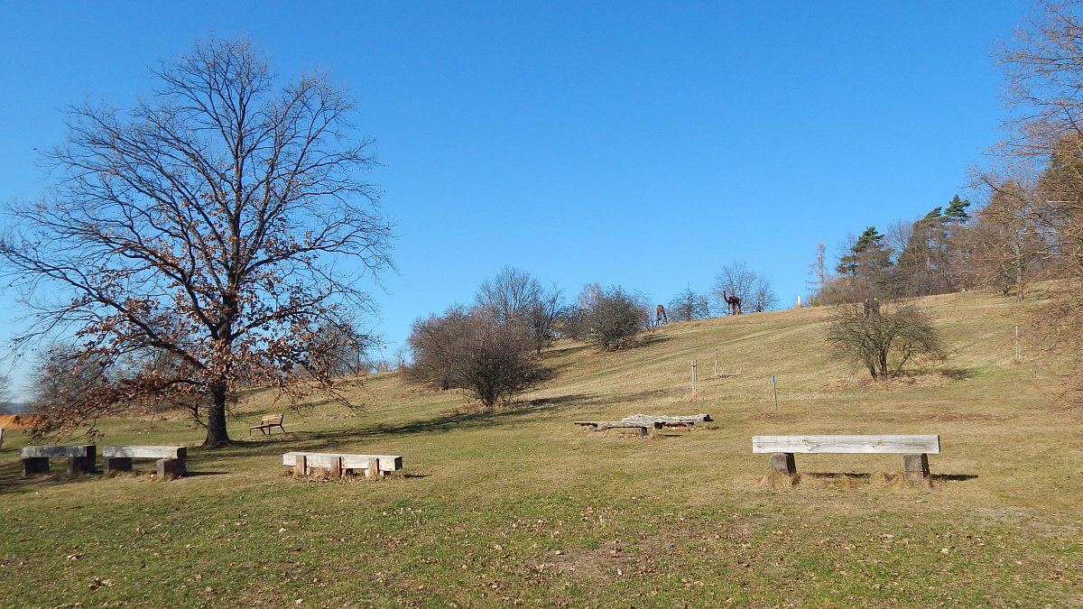 Únorová procházka botanickou zahradou v pražské Troji