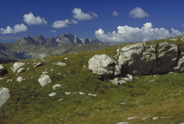 Na hory pohodlně
autem i s pejskem