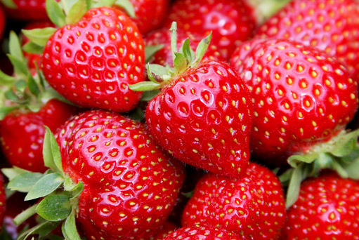 Jahod bude letos málo,
úrodu poničily mrazy