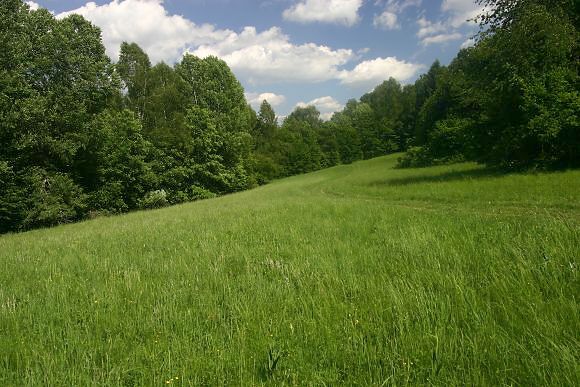 Nechce sa jéj
do chomúta