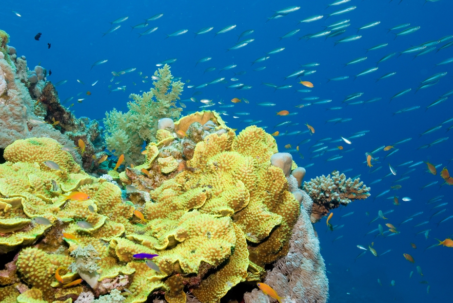 Stanislav Zima: Příští rok 
bude opět šlágrem Egypt
