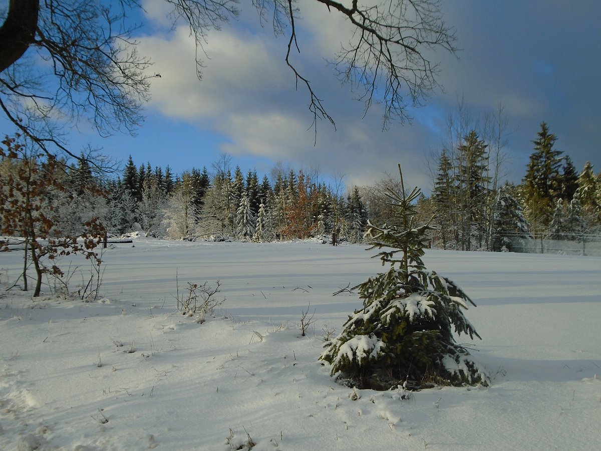 Únor bílý, pole sílí