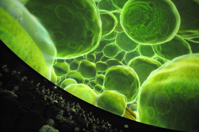 V Plzni se otevřelo první
3D planetárium v Česku