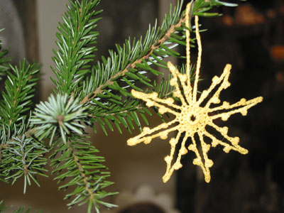 Většina Čechů chce přírodní
vánoční stromek, kromě Prahy