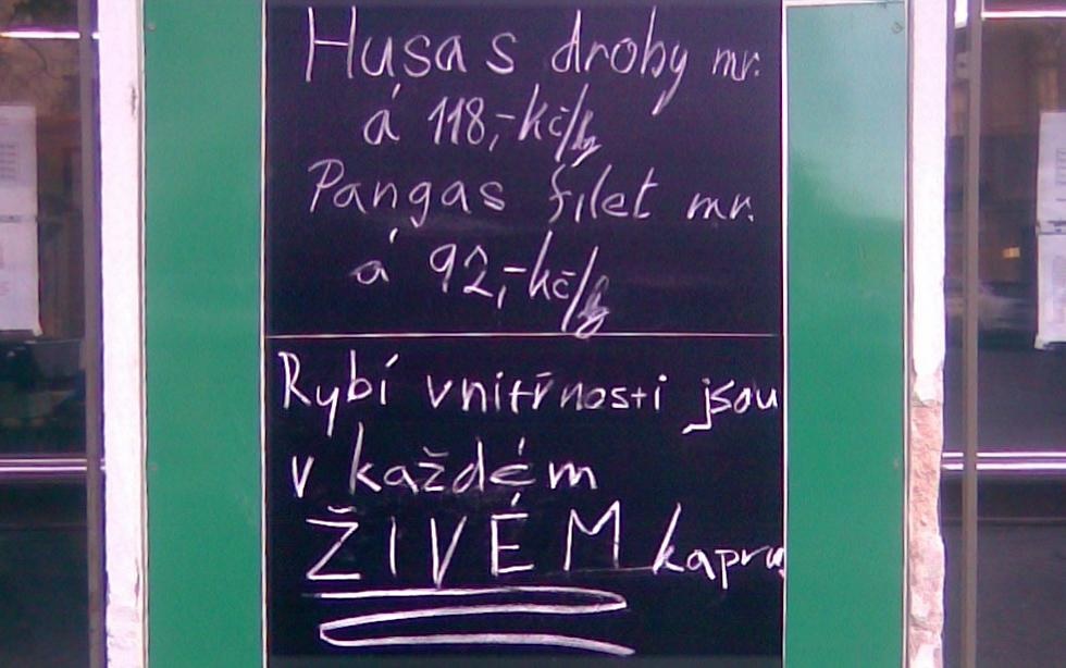 Máme rádi zvířata. Silvestrovské kastrace a lustrace