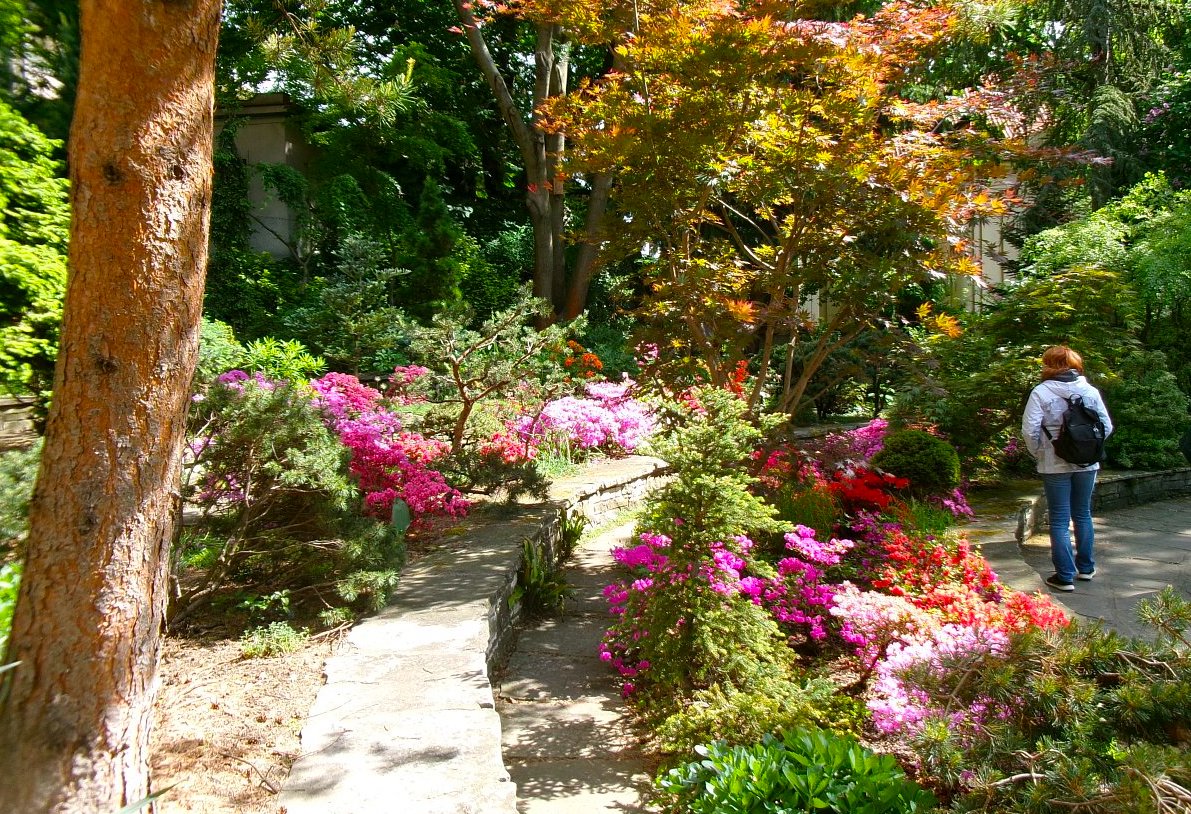 Výstava skalniček v zahradě U Faustova domu