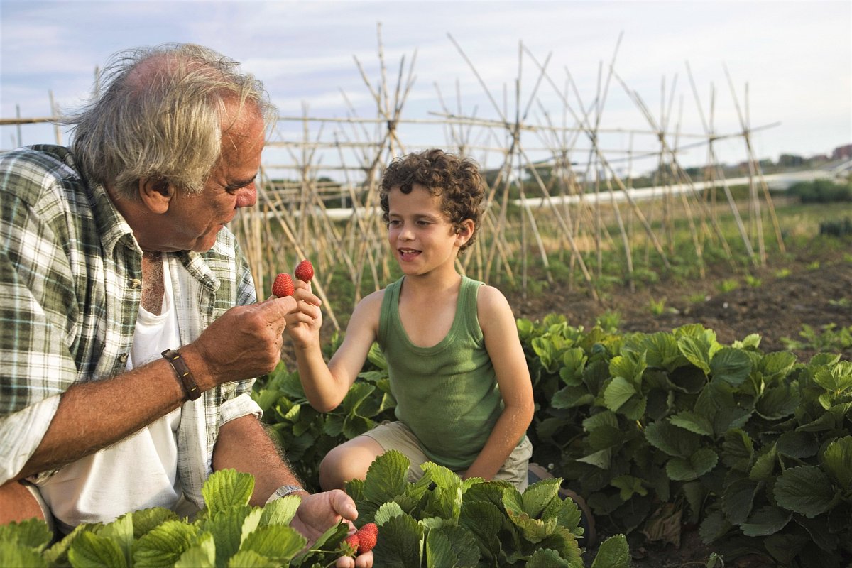 Červen, měsíc jahod a třešní
