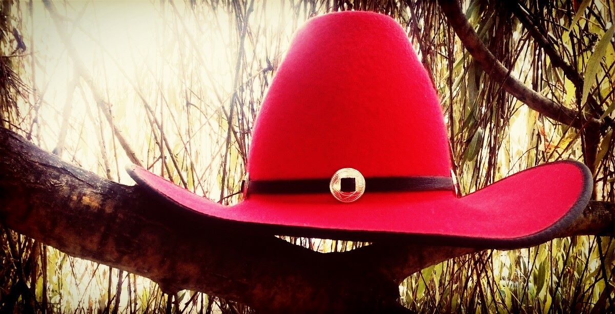 Život stromů aneb s kovbojkou do lesa