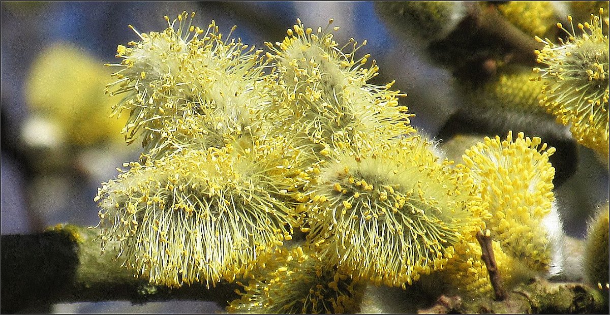 Jsem teplá a nedočkavá