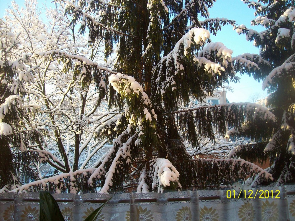 Jarní fotopříběh: Hodně osobní
příběh, o který se chci podělit