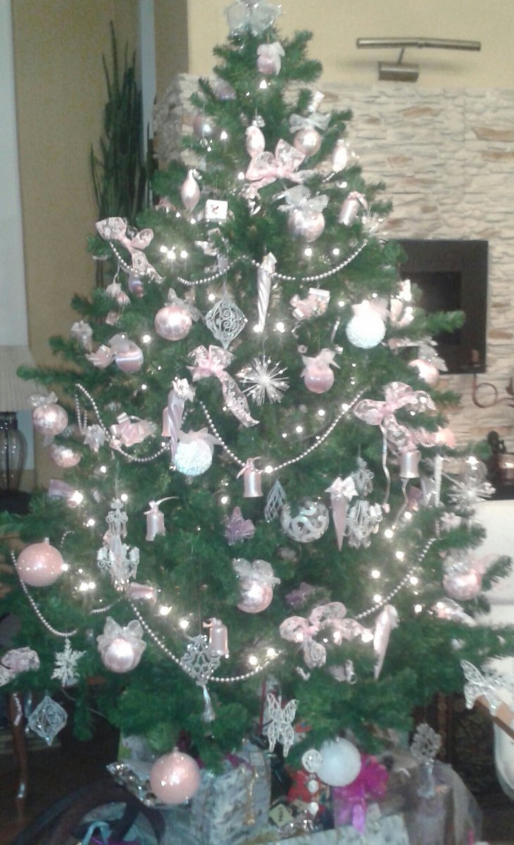 Domácí vánoční koncert