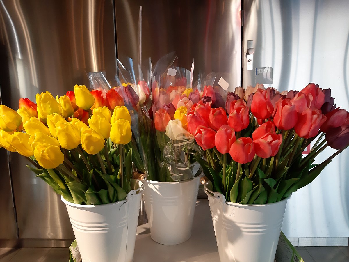 Návštěva Amsterdamu v odstupu času