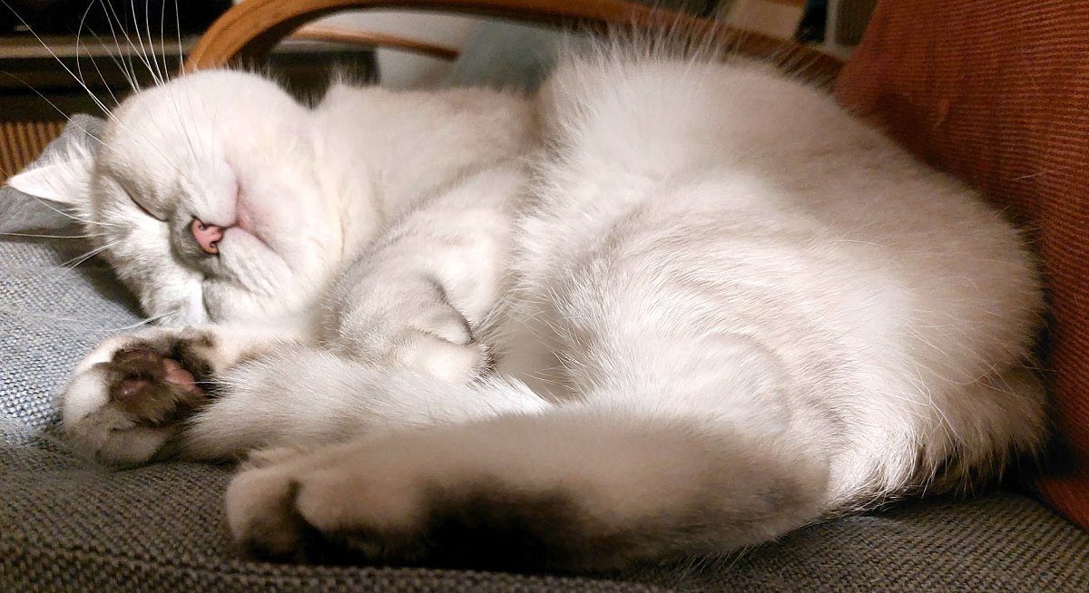 Jen si lehnu na záda, hned na mě vleze