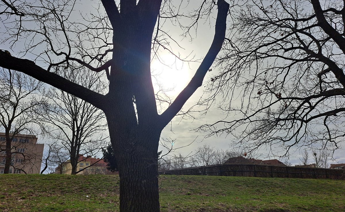 Jak se mi líbilo v nemocnici