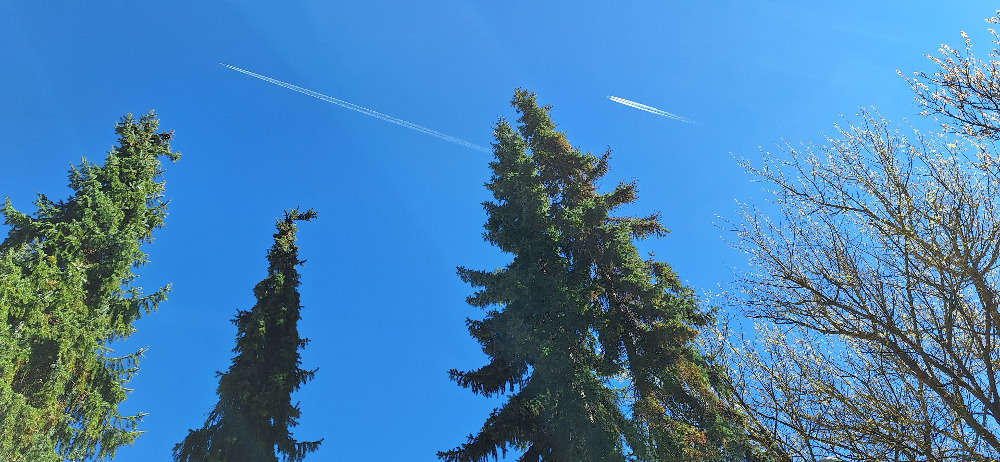 I slzy jsou dnes jiné