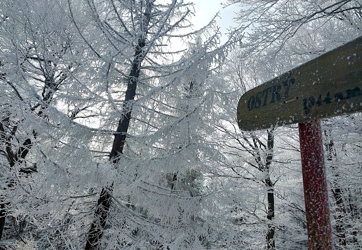 Jen zoufalec chodí sám po horách