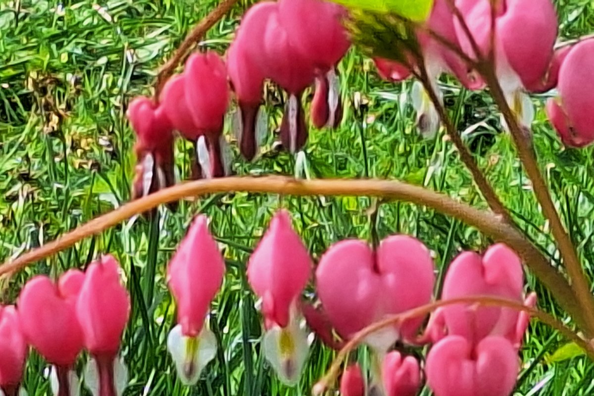 Láska už nešeptá