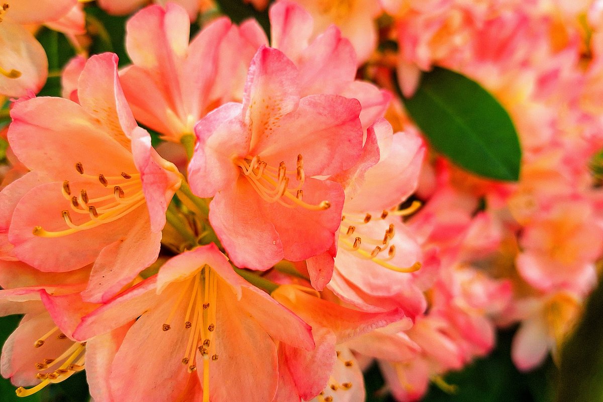 Jen slova lásku hledají