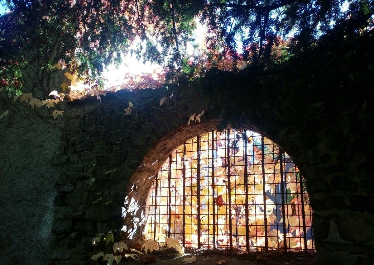 Za tajemstvím podzimu aneb světlo v nás