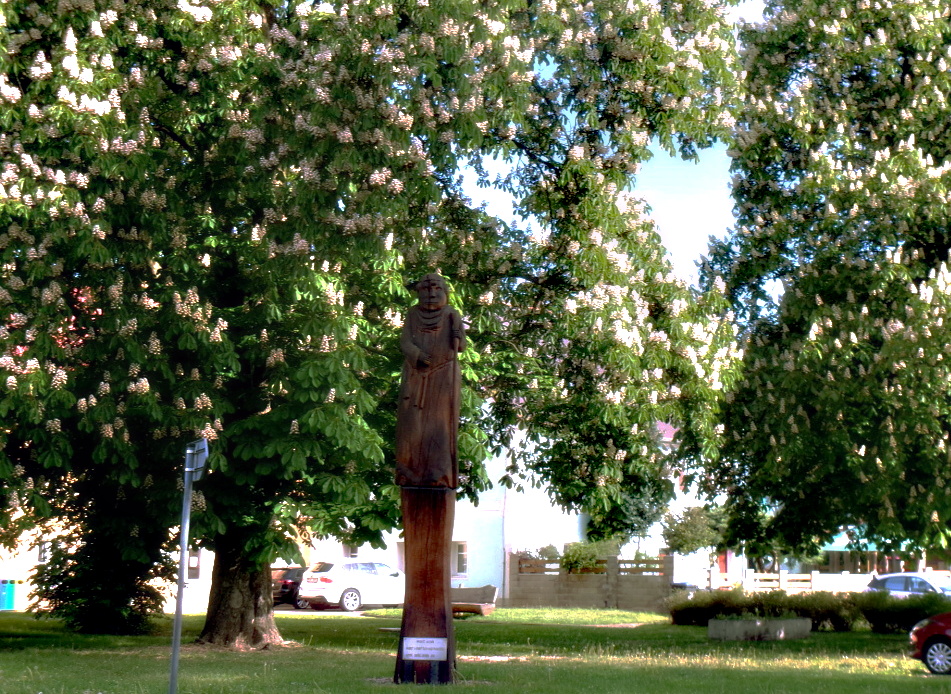 Ráno v Proboštově