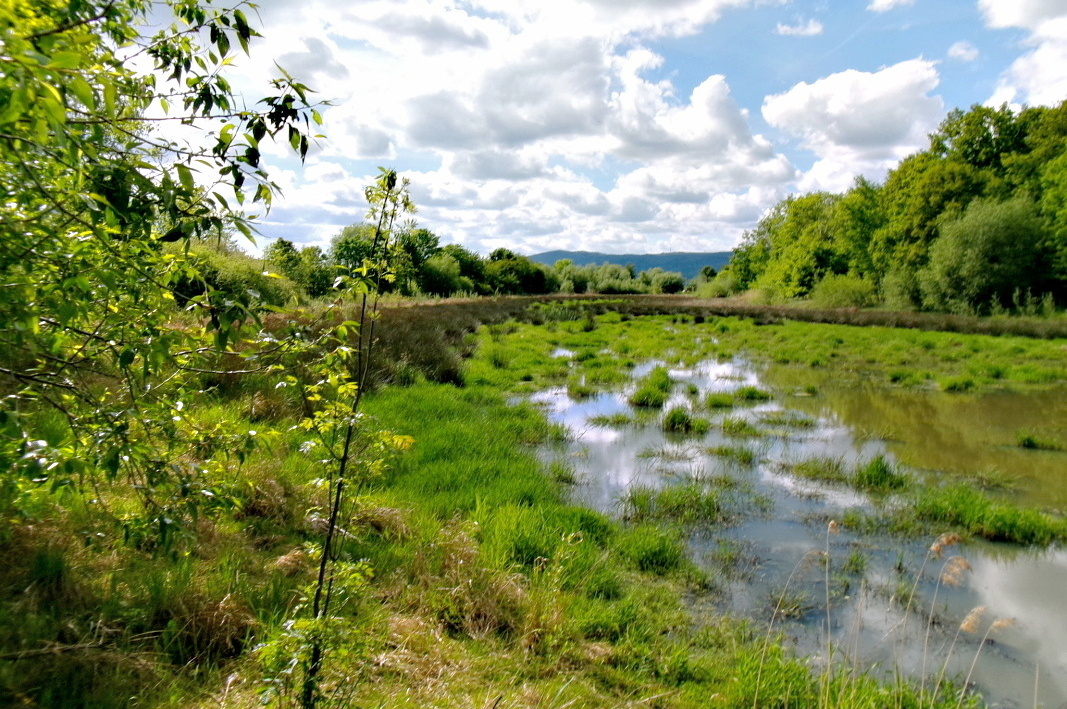 Odpoledne na Střížáku