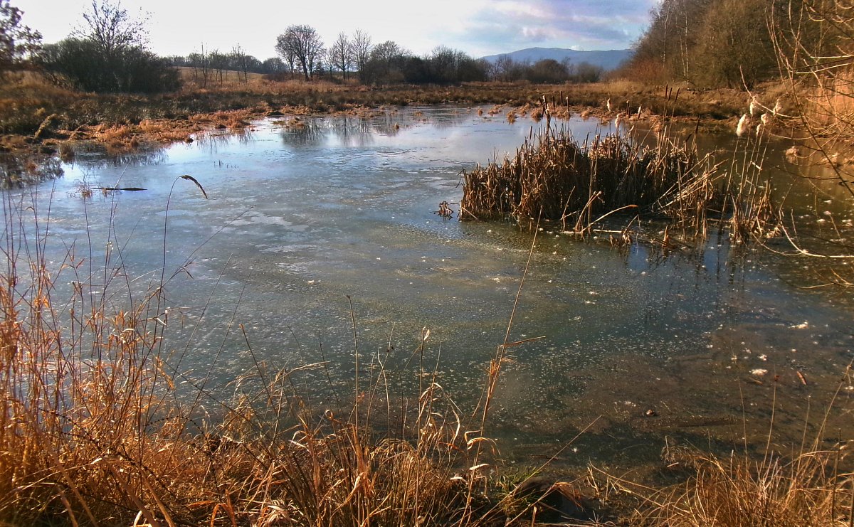 Odpoledne v přírodě