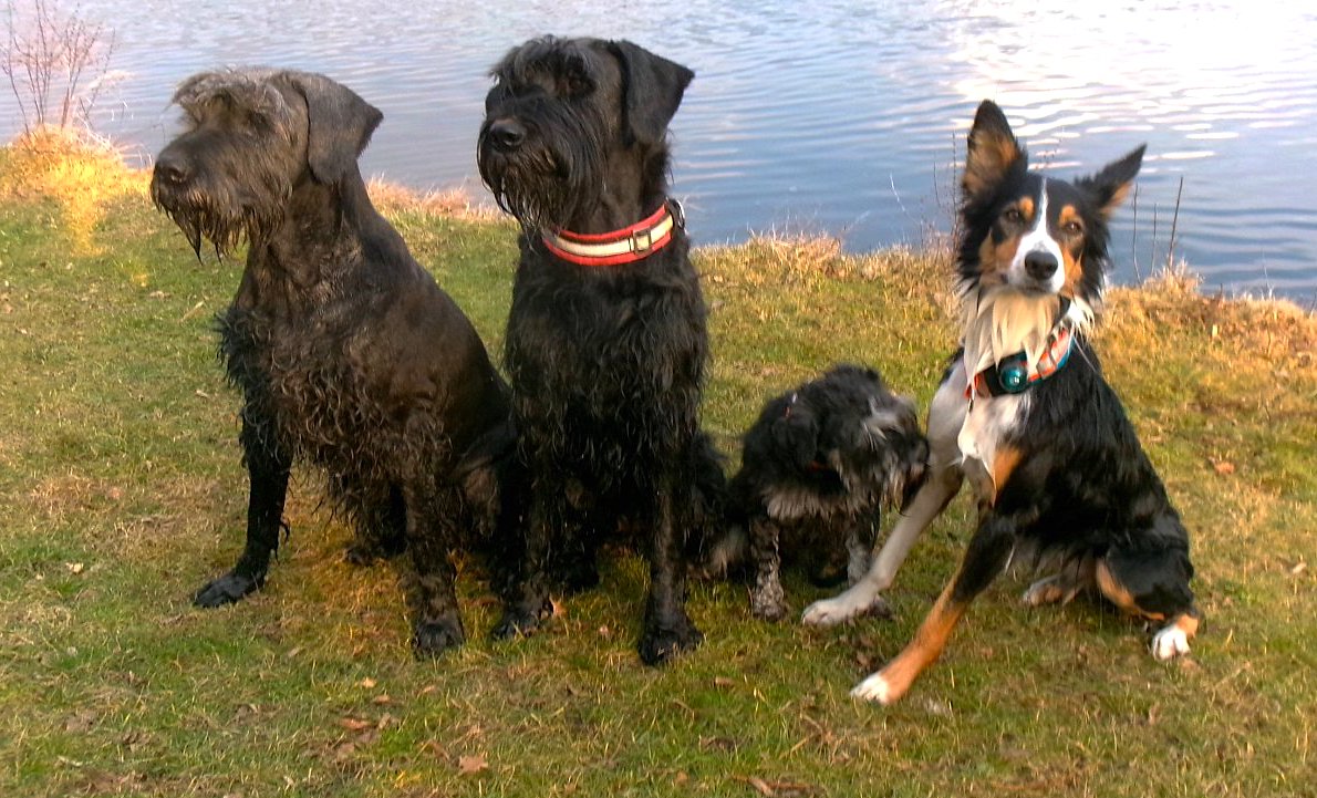 FOTO DNE 21.3.: Naděžda Špásová - Silná čtyřka