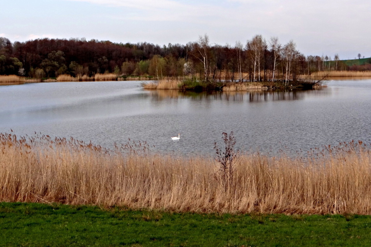 Fotoreportáž: Dubnové proměny
