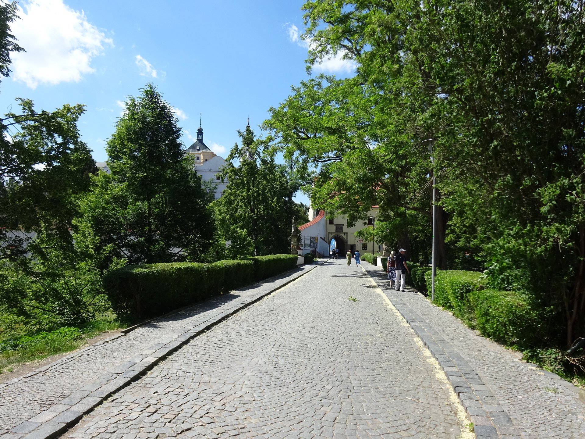 3_DSC00805.JPG