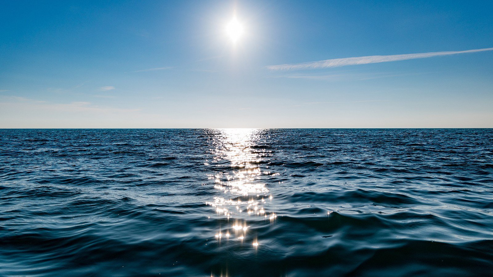 pexels-sea-1836480.jpeg