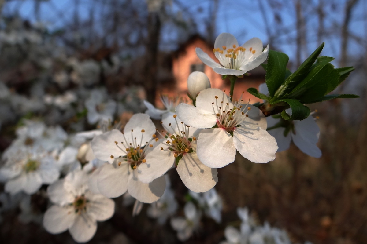 Fotoreportáž: Dubnové proměny