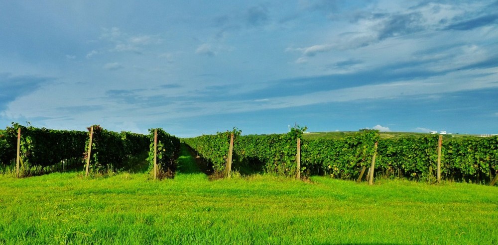 Vernisáž fotografií: 
Můj domov jižní Morava