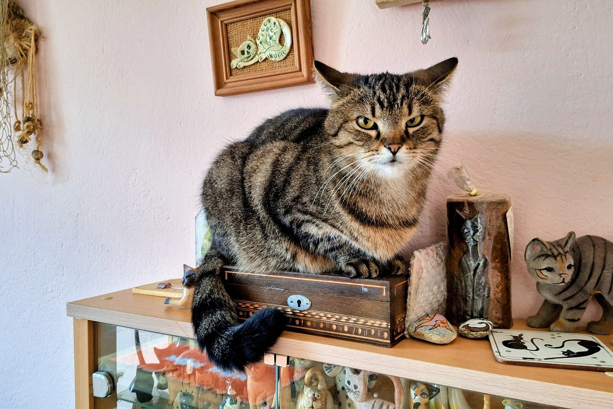 Jarní nostalgie s Babetou