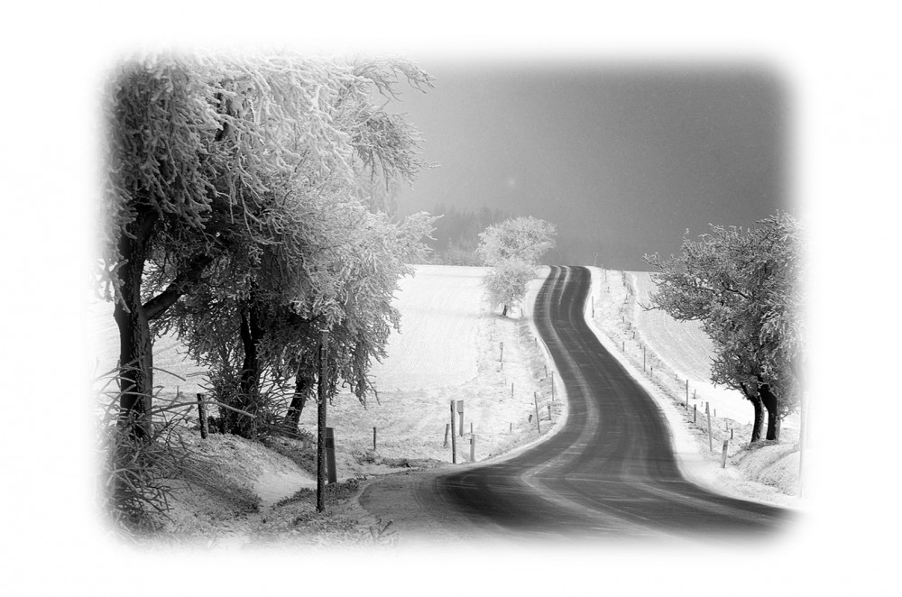 Jak se píše kniha
aneb Štěstěnky